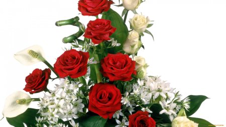 Букет роз на прозрачном фоне