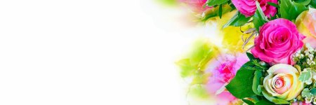 Цветы для подложки