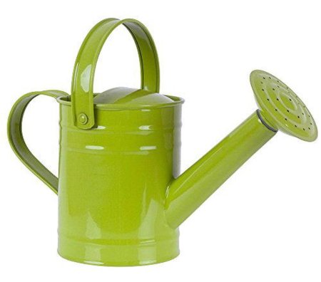Лейка мини в ассорт. У479 /30/