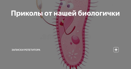 Шутки про биологичку