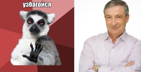 Енот узбагойся