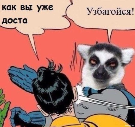 Узбагойся прикол