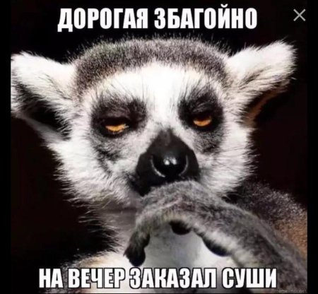 Лемур узбагойся оригинал