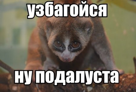Узбагойся Озтынь