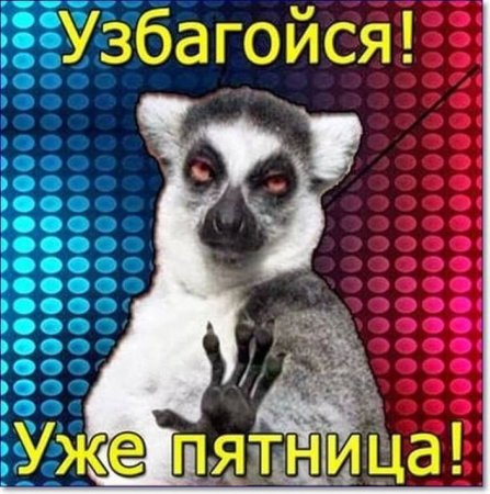 Узбагойся картинки