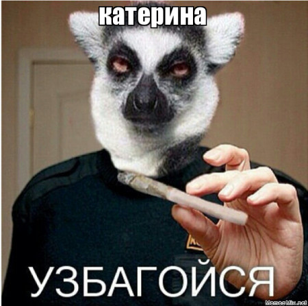 Узбагойся лимур