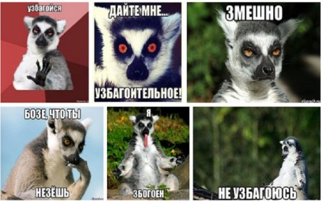 Лемур узбагойся оригинал