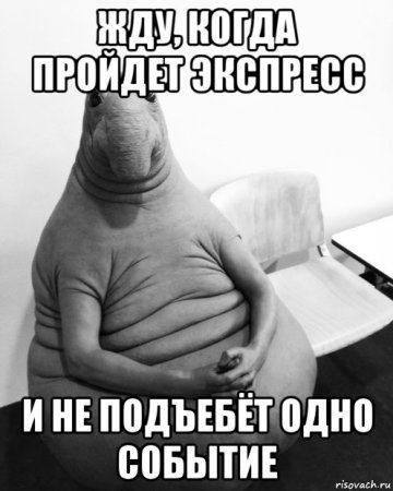 Ждун ждемс