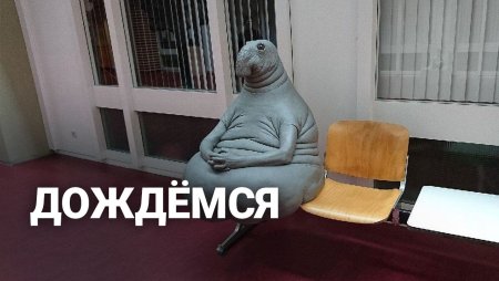 Чел сидит ждет