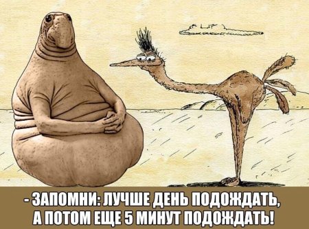 Джун Ждун