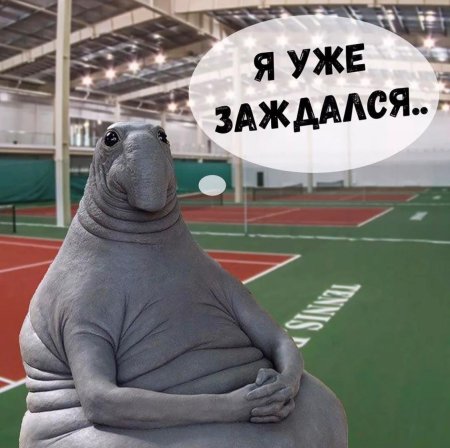 Злой Ждун