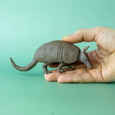 Жук броненосец