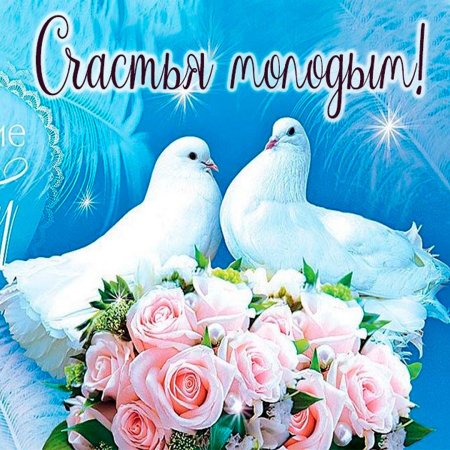 С годовщиной свадьбы голубки