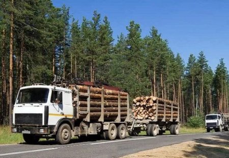 МАЗ 6422 лесовоз