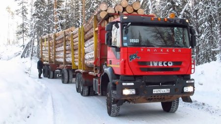 Ивеко лесовоз Усть Илимск