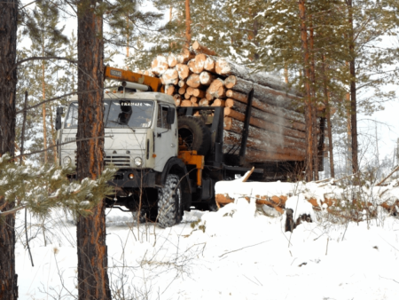 Урал 4320 вывозка леса
