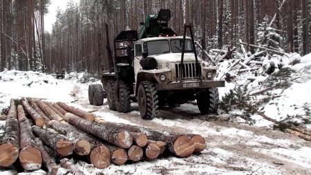 Урал лесовоз в лесу