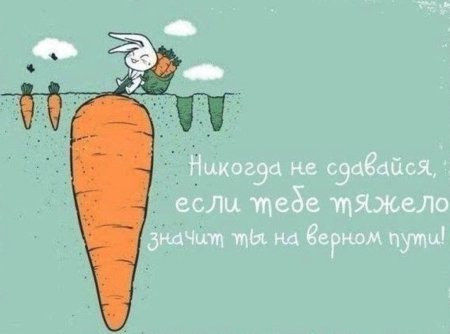 Смешные Мотивирующие фразы
