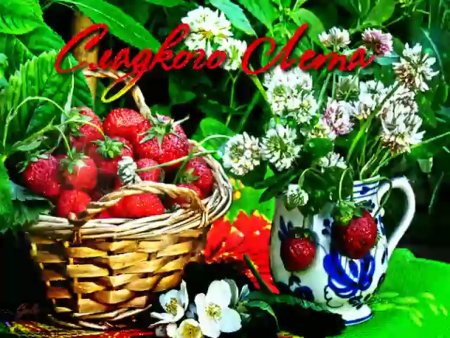 Летнего настроения пожелания