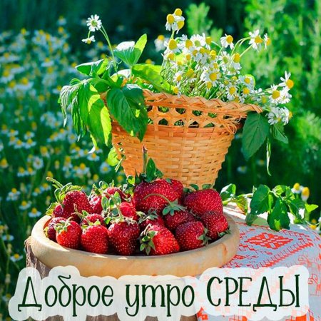 Поздравления с летним утром