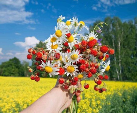 Букет из земляники и ромашек