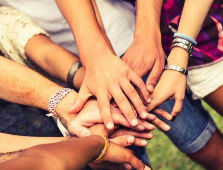 Дружные друзья