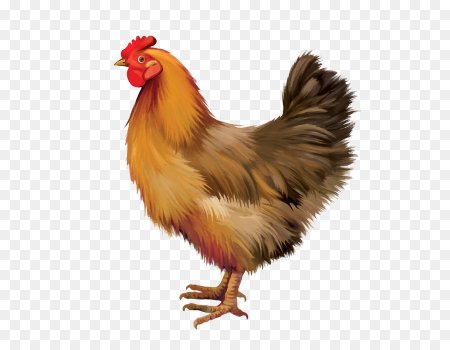 Курица для детей