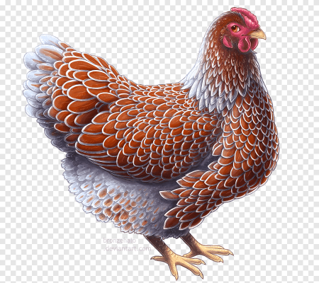 Курочка для детей