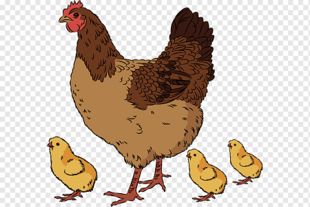 Курица рисунок