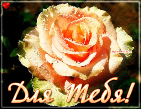 Людочек цветочек