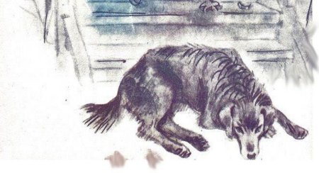 Леонид Андреев кусака