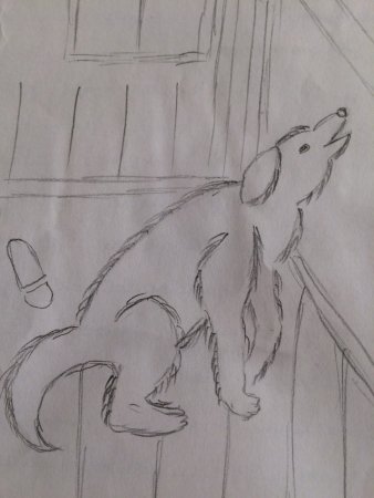 Иллюстрация к сказке кусака Андреев