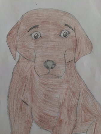 Кусака иллюстрации