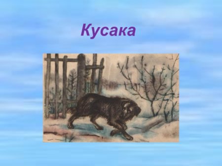 Кусака» л. Андреев собака