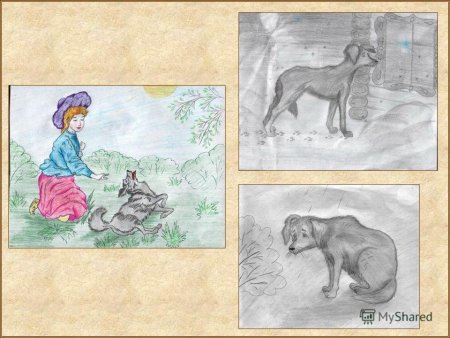 Рисунок к произведению кусака Андреева