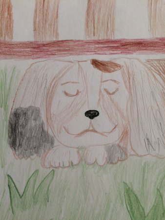 Иллюстрация по Кусаке