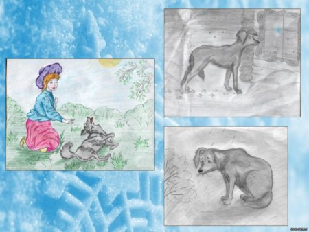 Рисунок к рассказу кусака