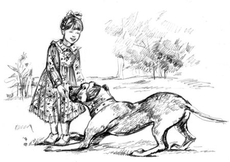 Куприн а. "Сапсан"