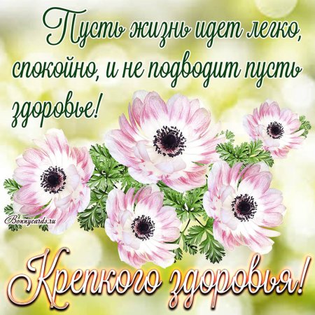 Пожелания крепкого здоровья