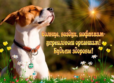 Пожелание здоровья и хорошего настроения