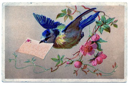 Старинные открытки с птицами