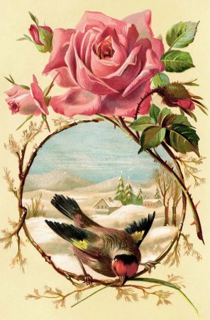 Винтажные птицы