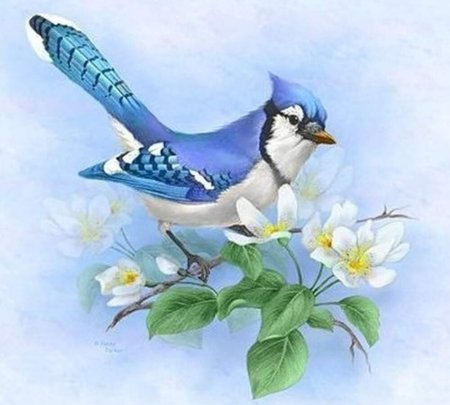 Весенняя открытка с птичкой