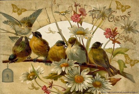 Птицы для декупажа