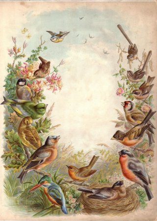 Винтажные птицы для декупажа