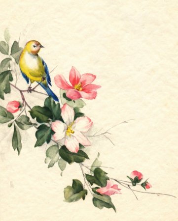Цветы птицы Винтаж