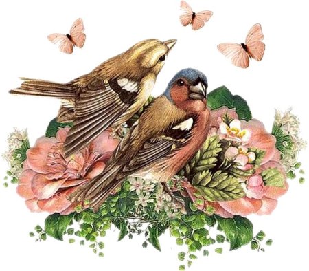Винтажные птицы цветы