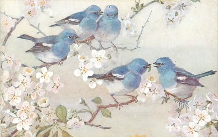 Голубые обои с птичками