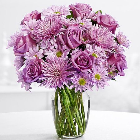 Монобукет астры