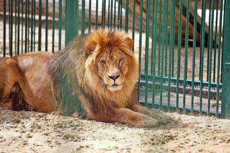 Белгородский зоопарк Белгород